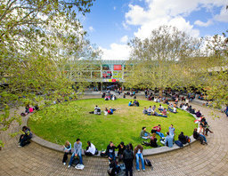 The Agora The Agora